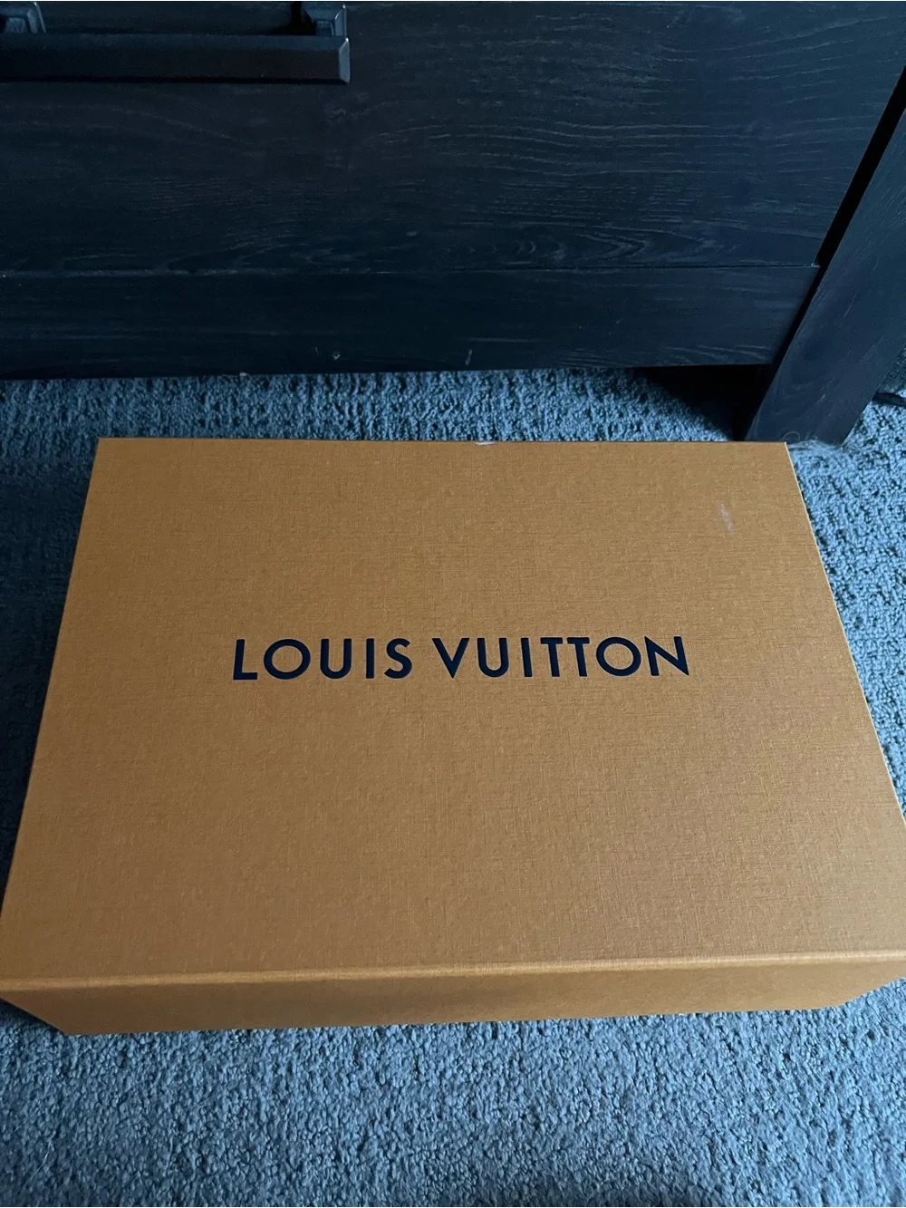 Louis Vuitton Dauphine East-West Louis Vuitton new